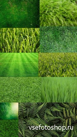 Grass Textures Set 3 JPG Files