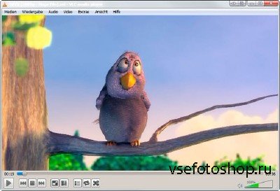 VLC Media Player v 2.0.4 Final