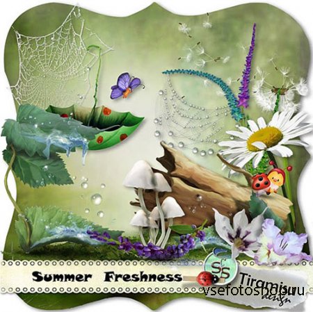 Scrap - Summer Freshness PNG and JPG Files