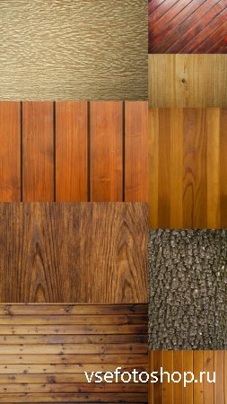 Texture of wood bark JPG Files