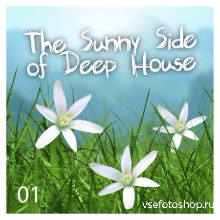The Sunny Side Of Deep House Vol 1 (2014)