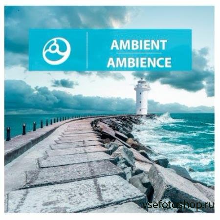 Ambient Ambience (2014)