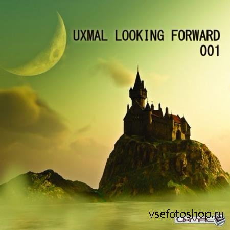 Uxmal Looking Forward 001 (2014)