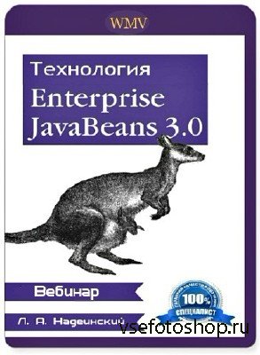 :  Enterprise Java Beans 3.0 (2013) 