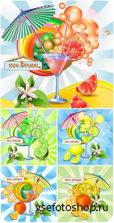   ,    / Cocktails in the vector of citrus juic ...