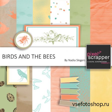 Scrap - Birds and the Bees