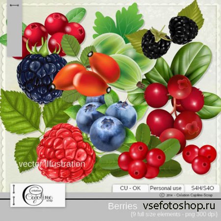Berries PNG Files