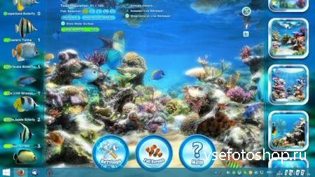Sim Aquarium 3.8 Build 58 Premium
