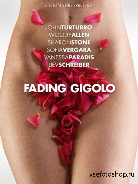    / Fading Gigolo (2013) TS