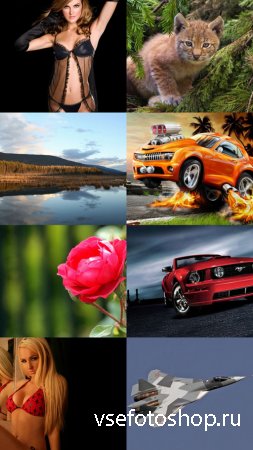 Collection of Different Wallpapers Set 62