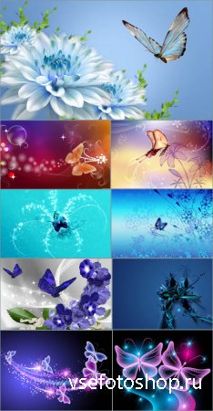 Фоны для дизайна - Цветы и бабочки