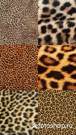 Leopard Skin Textures