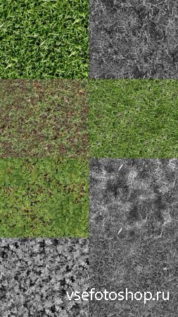 Seamless Texture of Grass