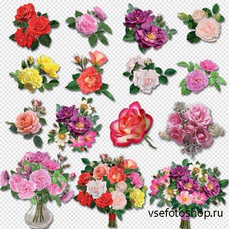 Клипарт- розы разных сортов и разного цвета на прозрачном фоне