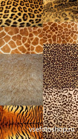 Textures Animal Skins Set JPG Files