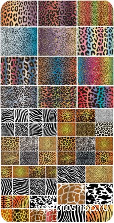     / Leopard texture vector