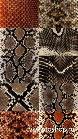 Snake Leather Textures JPG Files