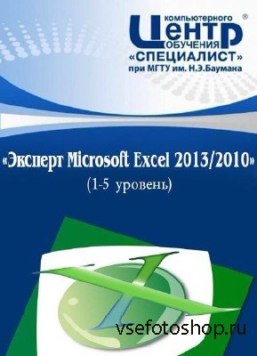 :  Microsoft Excel 2013/2010 1-5 (2013) - 