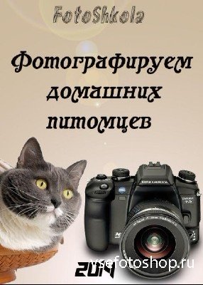 FotoShkola - Фотографируем домашних питомцев (2014) Видеокурс
