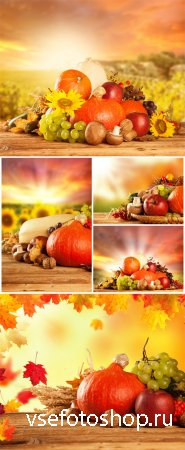 Осенние фоны, осенний урожай / Autumn background, fall harvest - Stock phot ...