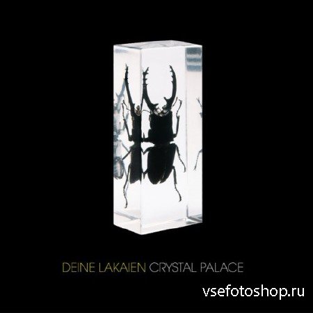 Deine Lakaien - Crystal Palace (2014)