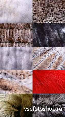 Textures Fur JPG Files
