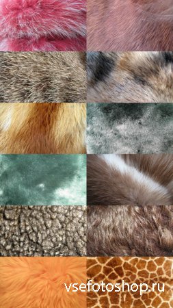 Animal Fur Textures 2 JPG Files