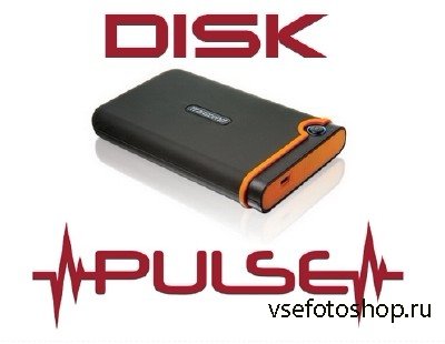 Disk Pulse 6.9.28 Portable