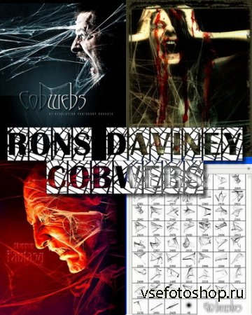Rons Daviney Cobwebs -  