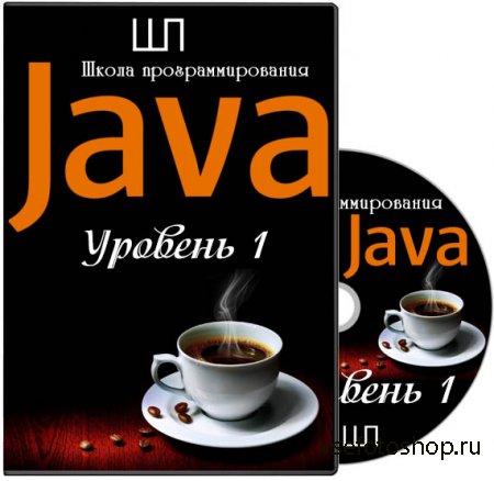 Java. Уровень 1. Базовый курс (2014)