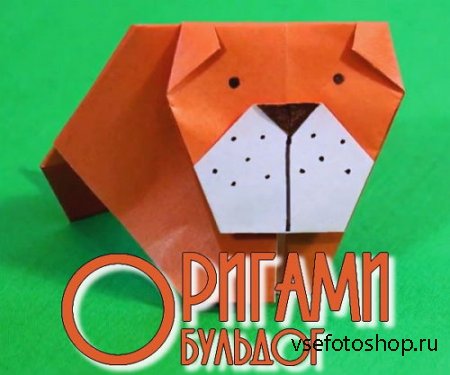 Делаем собачку бульбога - оригами (2014)