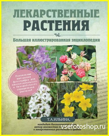 Лекарственные растения. Большая иллюстрированная энциклопедия (2014)