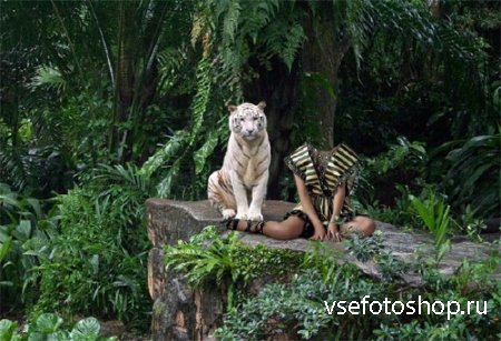 Photoshop шаблон - В джунглях с белым тигром