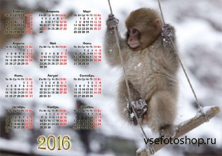 Настенный календарь - Маленькая обезьянка зимой