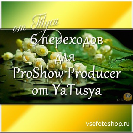 6   ProShow Producer
