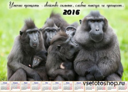 Календарь 2016 - Понять и простить