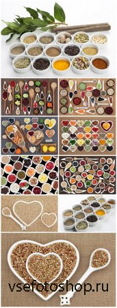 Sets of spices - Stock photo