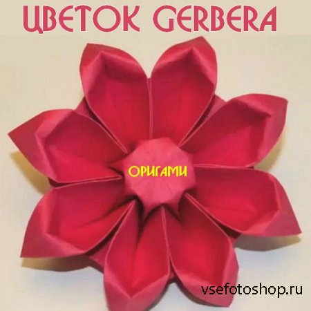 Цветок Gerbera. Оригами (2015)
