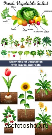 Овощи, цветы и ягоды с листьями и корнями