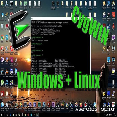 Linux  Windows (2016) WEBRip