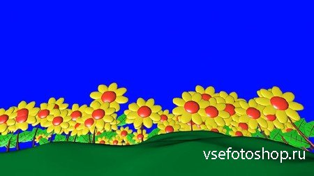 Футаж на хромакее - Цветочная поляна