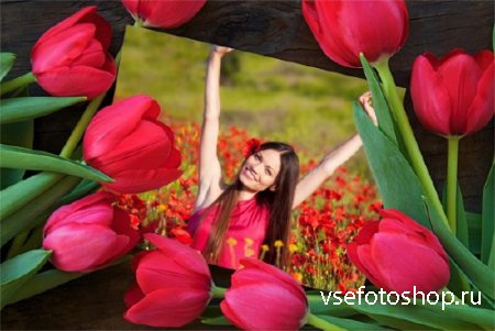 Фото рамка - Красные тюльпаны