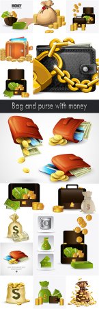 Bag and purse with money