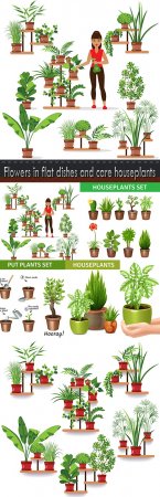 Flowers in flat dishes and care houseplants