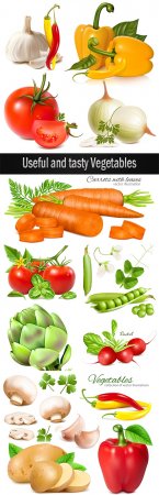 Useful and tasty Vegetables