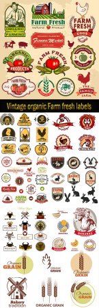 Vintage organic Farm fresh labels