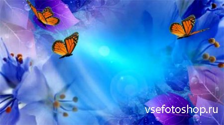 Футаж фона - Полет цветов и бабочек