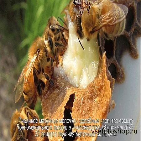 Пчелиное маточное молочко. Целебные свойства (2016) WEBRip
