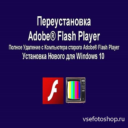 Windows 10 Adobe Flash Player .  ,   ...