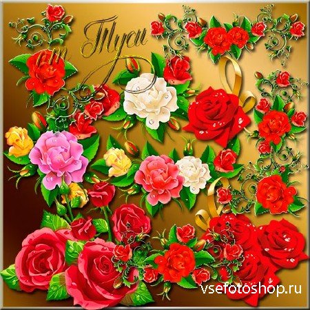  Clip Art  - Gentle aroma of roses